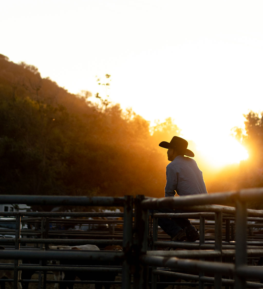 Cowboy at Sunset at the Poway Rodeo