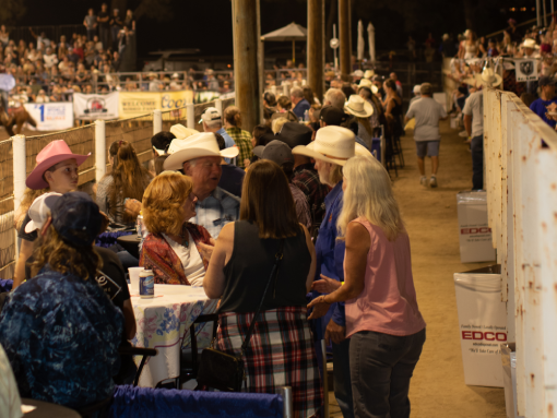 Boxed Seating at Poway Rodeo